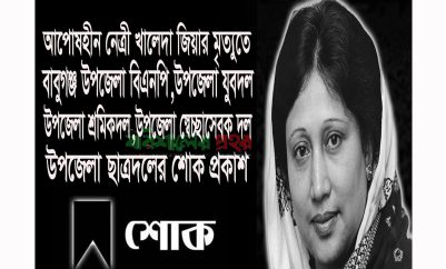 ‘খালেদা জিয়ার মৃত্যুতে বাবুগঞ্জ উপজেলা বিএনপি ও সহযোগী সংগঠনের শোক’